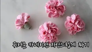 앙금플라워 귀여운 카네이션 짜기 carnation beancream flower cake