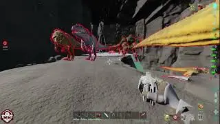 RAID IMS 2
