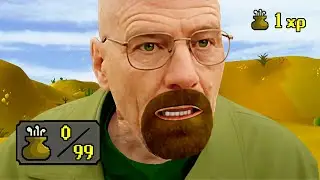Breaking Runescape