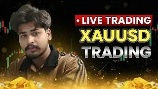  Gold & BTC dono knockout! 