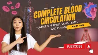 learn complete blood circulation in just 2mins #heartpump #heart #bloodcirculation #heartpumping