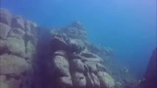 Diving - Blue Fish Wall, Manly Australia