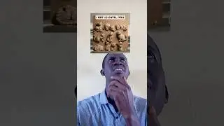 funny videos #cat #kitten #cute #edit #memes #capcut #gatos #funnyvideo #funnyvideo #challenge #duet