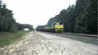 ST44-2031+ST44-2025+SM48-061, krzyżowanie Cz.1, HD, Puszcza LHS