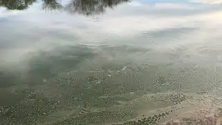 SERTÃO 