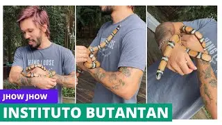 Cobras e Curiosidades: Minha Visita ao Instituto Butantan