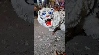 Barongan macan terbaru