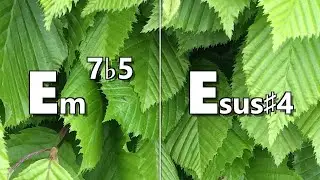 Em7b5 to Esus #4 Backing Track