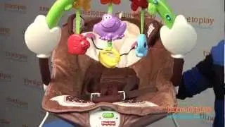 Deluxe Monkey Bouncer from Fisher-Price