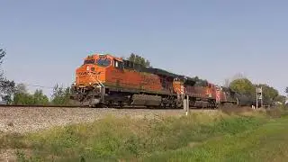 Canadian National in Neoga, IL - October 6, 2024