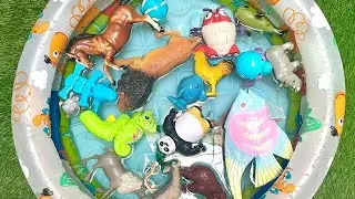 ocean World Sea Creature for Toddlers | Educational Fun Facts Sea Creature Toys