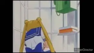 My reaction when Gary Oak made his last appearance in the Pokemon Anime Franchise