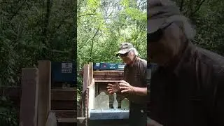 A cheap metal air gun target for BB and pellets #shorts #shooting #plinking #airgun #bb #pellets