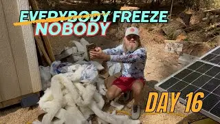 Shed to House Conversion | Wall Insulation