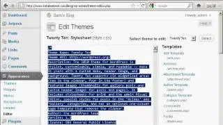 Use CSS style to edit wordpress themes