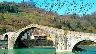 pasa de palomas torcaces 2014 video4