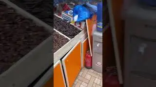 Madinah Date Store #madinah #dates #madina
