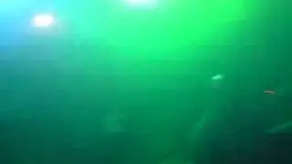 Hadouken! - Lost (Live Oxford 9/3/10)