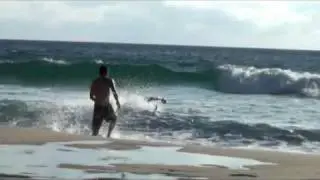 Follow The Adventure // Gold Coast // Trailer