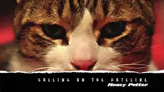 Heavy Petter - Calling On The Dateline