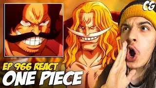 PIRATAS do ROGER VS PIRATAS do BARBA BRANCA! ODEN entrou no bando do ROGER! - React One Piece EP 966