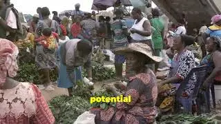 Business Opportunities in Mozambique