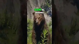 LOS SECRETOS DEL OSO LEGENDARIO EN RED DEAD REDEMPTION 2 💀🤯
