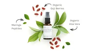 Evolve Organic Beauty | Daily Detox Facial Wash