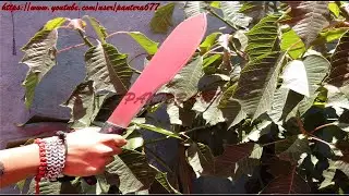 Modificación sencilla de una hoja de machete, y afilado (sin destemplarlo)