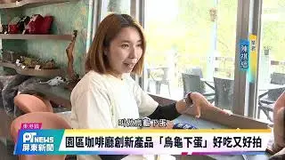 東港鵬村濕地新成員 無毛豚鼠、日本雞成人氣寵兒