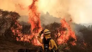 CAL FIRE Local 2881 2020 Year in Review