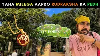 City Forest - Best place to visit in silvassa | Rwp Mehra