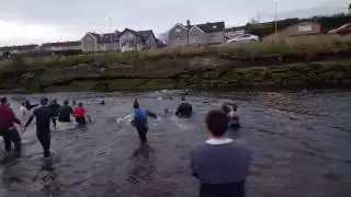 Uppies vs Downies