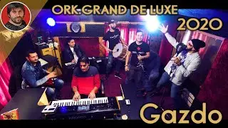 ORK.GRAND DE LUXE & TRAIKO SHAMPIONA - Gazdo - 2020