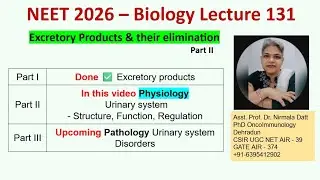 Excretory system - Structure Function & Regulation #neet #neet2026 #aiims #humanphysiology