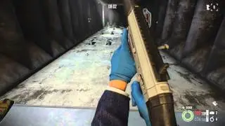 Payday2 DLC Commando 553 & Swedish K motions and Firing test