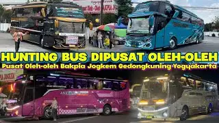 FULL TELOLET BASURI😱‼️hunting bus dipusat oleh-oleh bakpia jogkem gedongkuning full telolet basuri