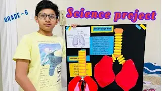 How Lungs 🫁 Works? || Easy Science Project || Grade 6 || Grade 4 || Easy Math Project #project