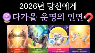 [타로카드/연애운] 2026년 당신에게 다가올 운명의 인연은? (+ 인연의 정체 [뉴페 or 구페] / 만남 시기 / 관계 흐름 분석 / 대처 조언)