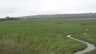 Marshland by the River Taw