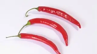 Yacon Complex - naturalna suplementacja