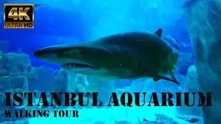 Istanbul Aquarium Walking Tour in 4K!  Istanbul Travel Guide 2019