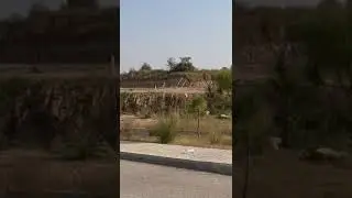 8 Marla Plot Available For Sale in Sector F, DHA Phase 5, islamabad
