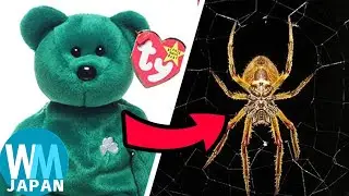 おもちゃにまつわる陰謀説 ランキングTop10