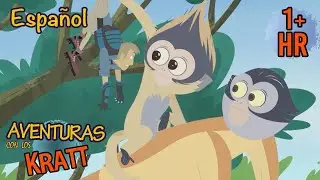 &iquest;Bichos o monos? | Animaciones de animales | Aventuras con los Kratt | Scholastic Kids en Espa&ntilde;ol