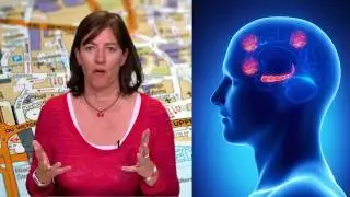 Brain Growth - YouCubed - Jo Boaler