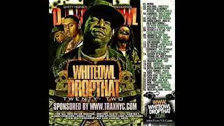 DJ Whiteowl - www.traxnyc.com Skit