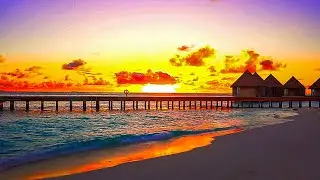 Golden Sunset by the Ocean 🌊 Deep Relaxation, Stress Relief & Peaceful Sleep