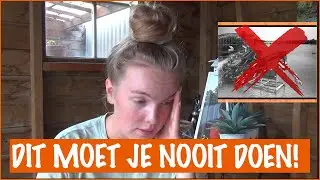 Esra reageert op: de slechte paarden video's! | PaardenpraatTV