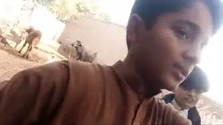 MY FIST VLOG 😍 | MY VILLAGE LIFE 🥰 | MALIK UMAR AKMAL